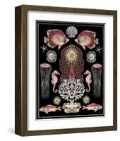 Oceana - Pink on Black-Susan Clickner-Framed Art Print