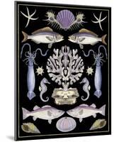 Oceana - Purple on Black-Susan Clickner-Mounted Art Print