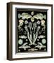 Oceana - Spa on Black-Susan Clickner-Framed Art Print