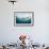 Oceanic Black-Tip Shark and Remora, KwaZulu-Natal, South Africa-Pete Oxford-Framed Photographic Print displayed on a wall