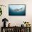 Oceanic Black-Tip Shark and Remora, KwaZulu-Natal, South Africa-Pete Oxford-Framed Stretched Canvas displayed on a wall