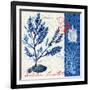 Oceanic Botanical-Devon Ross-Framed Art Print