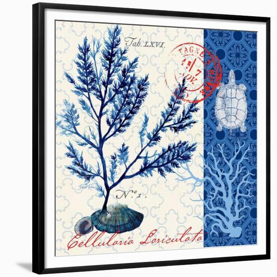 Oceanic Botanical-Devon Ross-Framed Premium Giclee Print