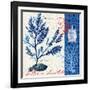 Oceanic Botanical-Devon Ross-Framed Art Print