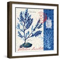 Oceanic Botanical-Devon Ross-Framed Art Print