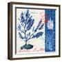 Oceanic Botanical-Devon Ross-Framed Art Print