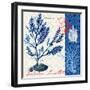 Oceanic Botanical-Devon Ross-Framed Art Print