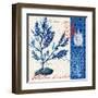 Oceanic Botanical-Devon Ross-Framed Art Print