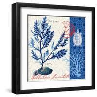 Oceanic Botanical-Devon Ross-Framed Art Print