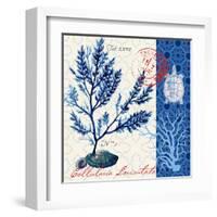 Oceanic Botanical-Devon Ross-Framed Art Print