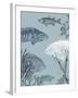 Oceanic Fauna-The Vintage Collection-Framed Giclee Print