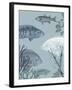 Oceanic Fauna-The Vintage Collection-Framed Giclee Print