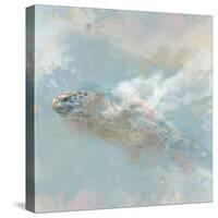 Oceanic Turtle II-Ken Roko-Stretched Canvas