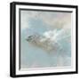 Oceanic Turtle II-Ken Roko-Framed Art Print