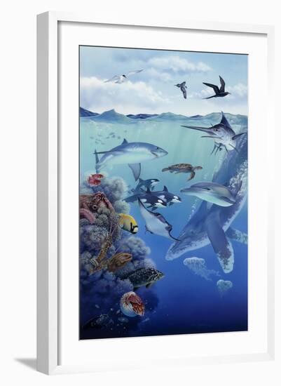 Oceanic-Tim Knepp-Framed Giclee Print