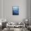 Oceanic-Tim Knepp-Framed Stretched Canvas displayed on a wall
