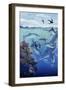 Oceanic-Tim Knepp-Framed Premium Giclee Print