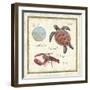 Oceanography II-Daphne Brissonnet-Framed Art Print