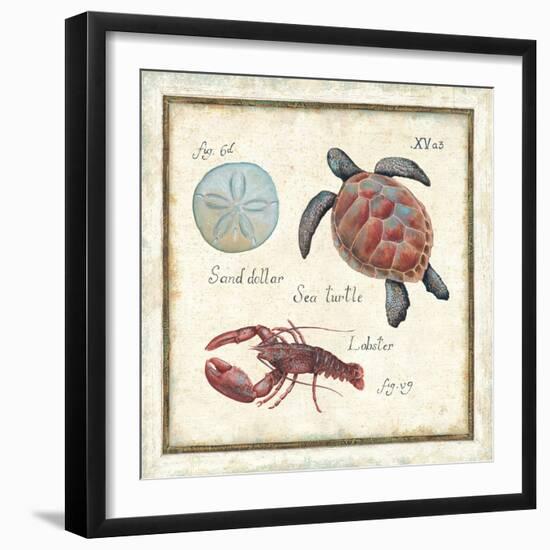 Oceanography II-Daphne Brissonnet-Framed Art Print