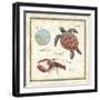 Oceanography II-Daphne Brissonnet-Framed Art Print