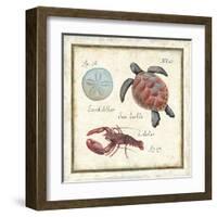 Oceanography II-Daphne Brissonnet-Framed Art Print