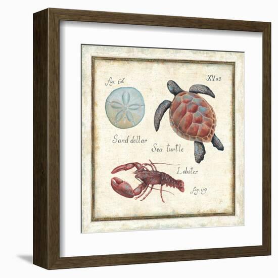 Oceanography II-Daphne Brissonnet-Framed Art Print