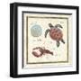 Oceanography II-Daphne Brissonnet-Framed Art Print