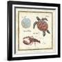 Oceanography II-Daphne Brissonnet-Framed Art Print