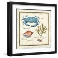 Oceanography IV-Daphne Brissonnet-Framed Art Print