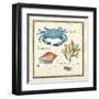 Oceanography IV-Daphne Brissonnet-Framed Art Print