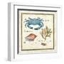 Oceanography IV-Daphne Brissonnet-Framed Art Print