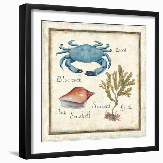 Oceanography IV-Daphne Brissonnet-Framed Premium Giclee Print