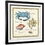 Oceanography IV-Daphne Brissonnet-Framed Art Print