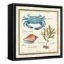 Oceanography IV-Daphne Brissonnet-Framed Stretched Canvas