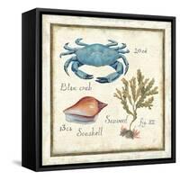 Oceanography IV-Daphne Brissonnet-Framed Stretched Canvas