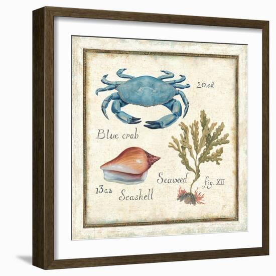 Oceanography IV-Daphne Brissonnet-Framed Art Print