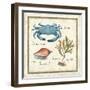 Oceanography IV-Daphne Brissonnet-Framed Art Print