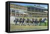 Oceanport, New Jersey - Monmouth Park Race Track Scene-Lantern Press-Framed Stretched Canvas