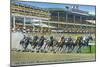 Oceanport, New Jersey - Monmouth Park Race Track Scene-Lantern Press-Mounted Art Print