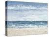 Oceans in the Mind-Julie DeRice-Stretched Canvas