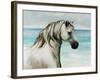 Oceans Spirit-Sydney Edmunds-Framed Giclee Print