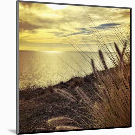 Oceanscape PCH-Gizara-Mounted Art Print