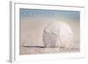 Oceanside, California - Sand Dollar on Beach-Lantern Press-Framed Art Print