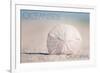 Oceanside, California - Sand Dollar on Beach-Lantern Press-Framed Premium Giclee Print