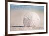 Oceanside, California - Sand Dollar on Beach-Lantern Press-Framed Premium Giclee Print