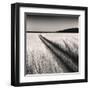 Oceanside Field-Andrew Ren-Framed Art Print