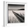 Oceanside Field-Andrew Ren-Framed Art Print