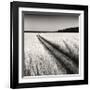 Oceanside Field-Andrew Ren-Framed Giclee Print