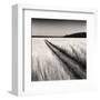 Oceanside Field-Andrew Ren-Framed Art Print