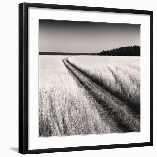 Oceanside Field-Andrew Ren-Framed Art Print